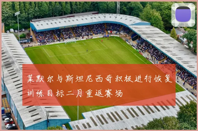 莱默尔与斯坦尼西奇积极进行恢复训练目标二月重返赛场