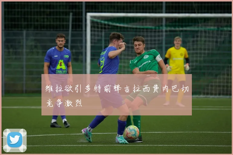 维拉欲引多特前锋吉拉西费内巴切竞争激烈